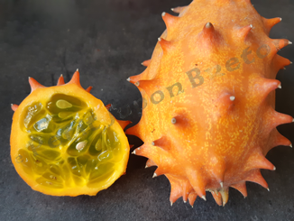 Kiwano du Petit Japon Breton